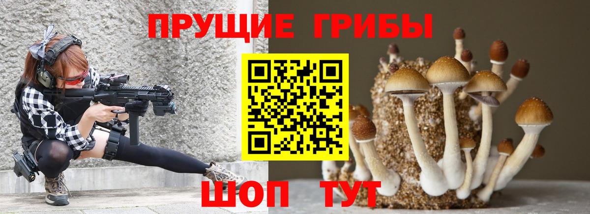 Галлюциногенные грибы ЛСД  где купить   Рубцовск  Вход с VPN 